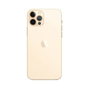 iPhone 12 Pro Max Back Cover